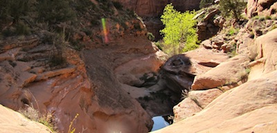 Spring-fed pool in the canyon country